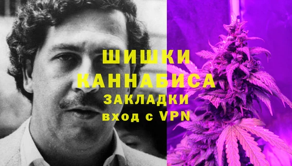 PSILOCYBIN Наволоки