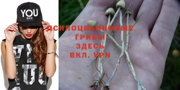 PSILOCYBIN Наволоки