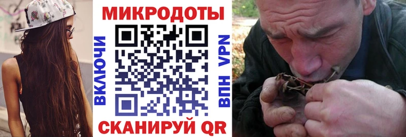 закладка  Новая Усмань  Псилоцибиновые грибы MAGIC MUSHROOMS 